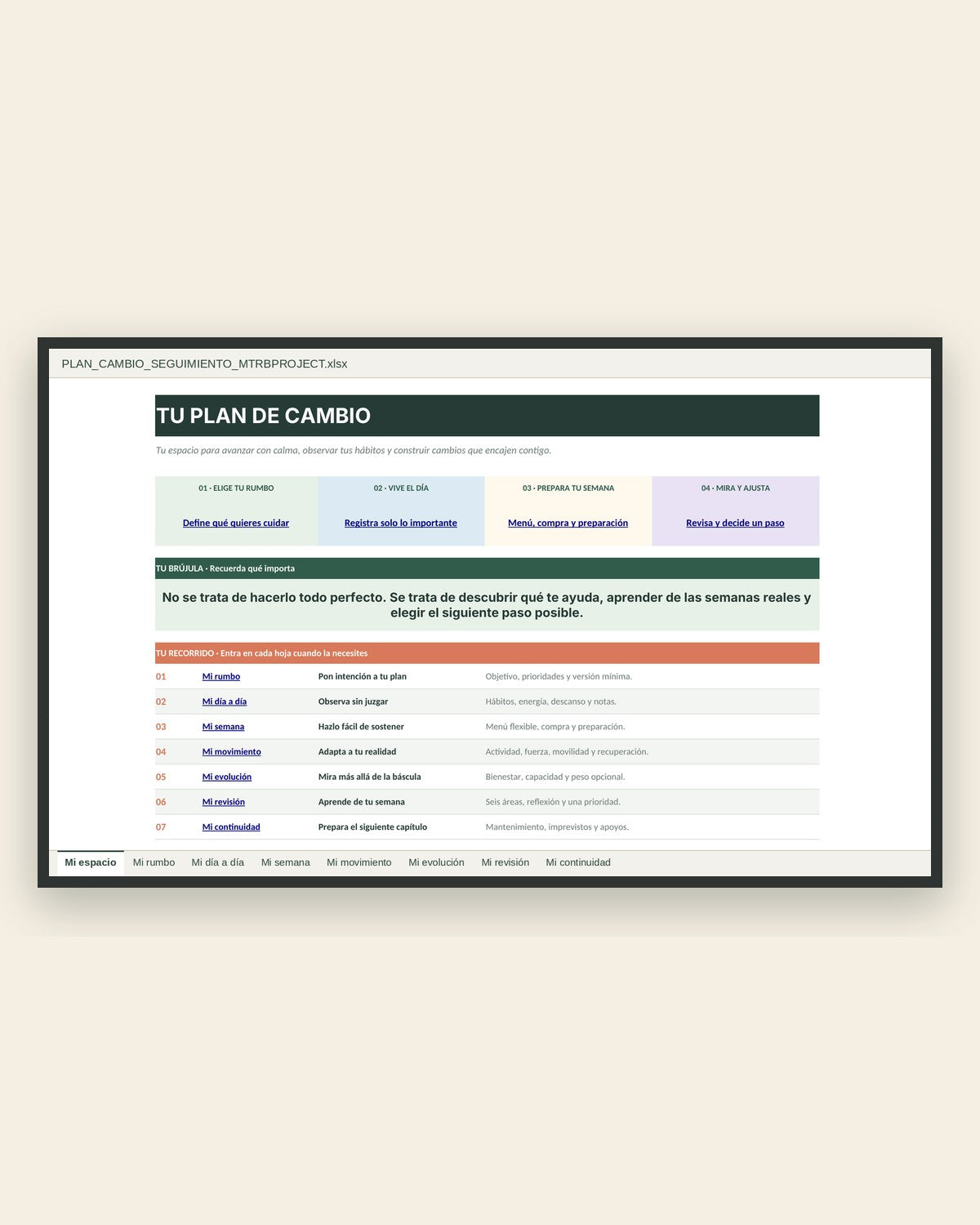 Hoja Mi espacio del Excel de seguimiento Tu Plan de Cambio
